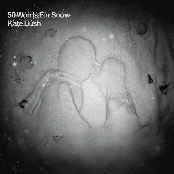 Cover of '50 Words For Snow' - Kate Bush
